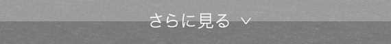 さらに見る